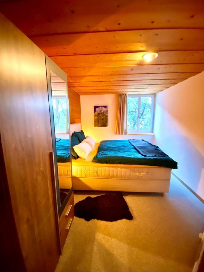 Appartement Aareschlucht- Grandiose Aussicht Fuer 2-6 Pers. Meiringen Eksteriør billede