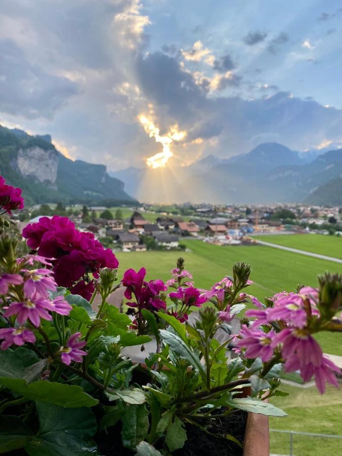Appartement Aareschlucht- Grandiose Aussicht Fuer 2-6 Pers. Meiringen Eksteriør billede