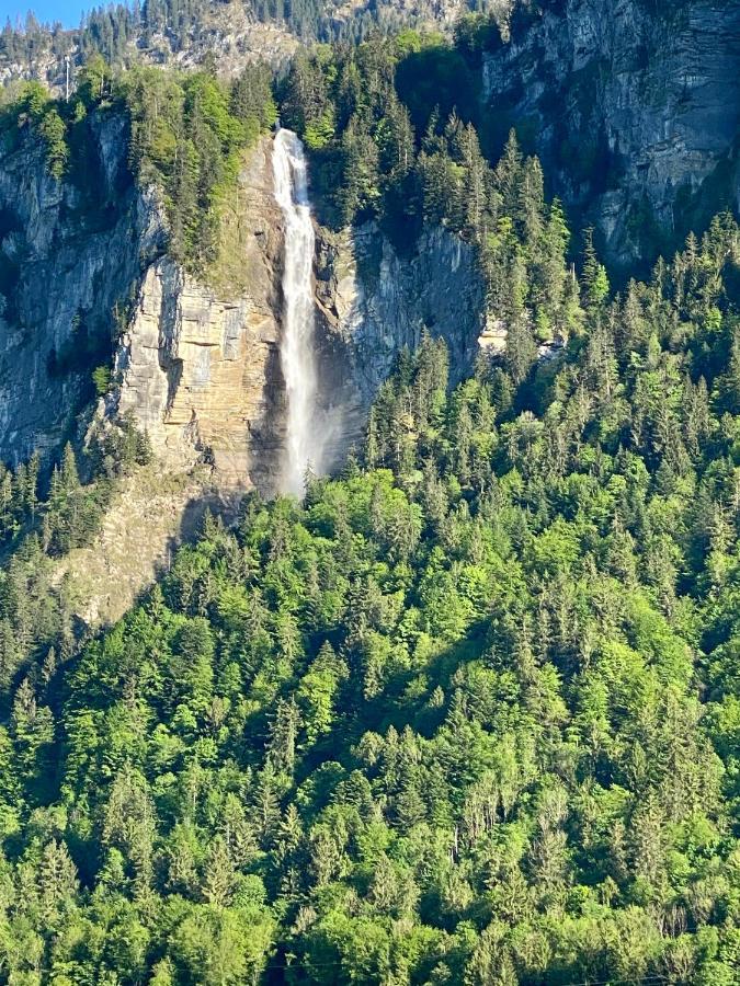 Appartement Aareschlucht- Grandiose Aussicht Fuer 2-6 Pers. Meiringen Eksteriør billede