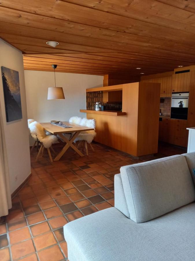 Appartement Aareschlucht- Grandiose Aussicht Fuer 2-6 Pers. Meiringen Eksteriør billede
