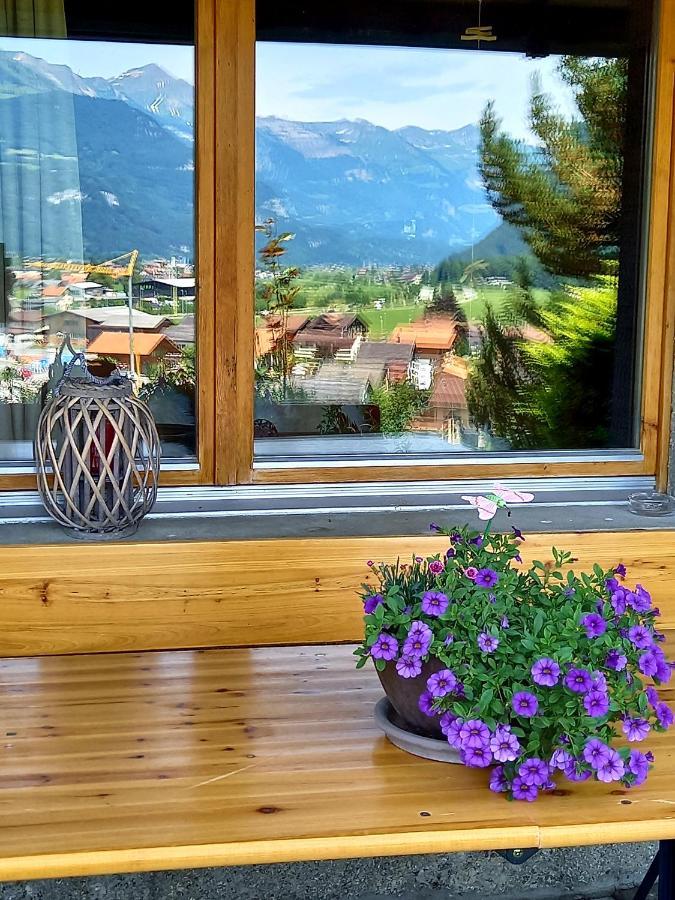 Appartement Aareschlucht- Grandiose Aussicht Fuer 2-6 Pers. Meiringen Eksteriør billede